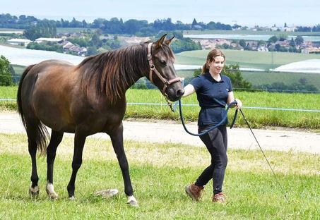 Gwladys des Charmes