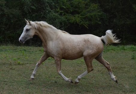 Kimberley des Charmes