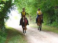 <p>Endurance à Marsannay le Bois 40 km pour Tiffany et El Sbaa XII-42</p>