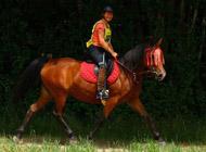 <p>Endurance à Villers le Sec 30 km pour Namibie des Charmes</p>