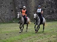 <p>Plusieurs belles sorties pour nos chevaux de l'élevage sur des courses d'endurance cette année</p>