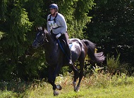 60 km à Wimmenau