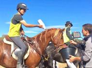 Narcos de Bligny, fils de Gazal Golyo fini "excellent" à la finale des jeunes chevaux d'endurance de 5 ans à Uzès