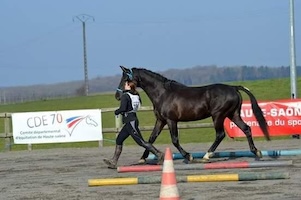 <p>100km - Amateur 1 Grand Prix - Nightwish des Charmes</p>