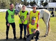 <p>Orlaith des Charmes - Championnat du monde - Young horses 8 ans</p>